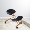Wooden orthopaedic Swedish office stool ergonomic back chair Balancewood Cost