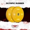 2 x 15 kg Olympic rubber and steel discus 50 mm bumper cross training Hanzo Sale