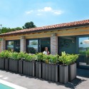 Planter box outdoor interior bar restaurant hotel modern Nebula Choice Of