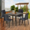 Brown Passion Set Made of a 90x90cm Brown Square Table and 4 Colourful Chairs 