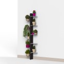 Zia Flora WMH Wall-Mounted Indoor Plant Holder with 10 Shelves Design Catalog