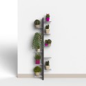 Indoor wall-mounted designer plant pots 10 shelves Zia Flora WMH Choice Of