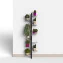Zia Flora WMH Wall-Mounted Indoor Plant Holder with 10 Shelves Design Choice Of