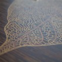 Modern design wooden painting leaf pattern 75x75cm Skeleton Cost