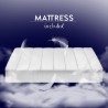 Hide-a-bed horizontal grey mattress 85x185cm Kando MCM Discounts