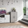Multipurpose living room cabinet Modern design sideboard 2 doors 3 compartments Lesly Measures