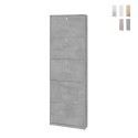 Modern Slim Design Entryway Shoe Cabinet, 5 Doors, Holds 12 Pairs - Lita Promotion