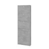 Modern Slim Design Entryway Shoe Cabinet, 5 Doors, Holds 12 Pairs - Lita Cheap