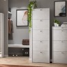 Space-saving modern design shoe cabinet 5 doors 25 pairs of Mond shoes Measures