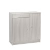 Multi-purpose Cabinet for Living Room/Office, 2 Doors, 4 Shelves, 1 Drawer, Kyn Bulk Discounts