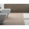 Floor-standing WC flush ceramic wall-hung sanitary wc Shift VitrA On Sale