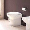 Floor-standing WC flush floor or wall mounted River sanitary ware On Sale