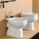 Geberit Colibrì floor-standing toilet bowl vertical flush bathroom sanitary ware On Sale