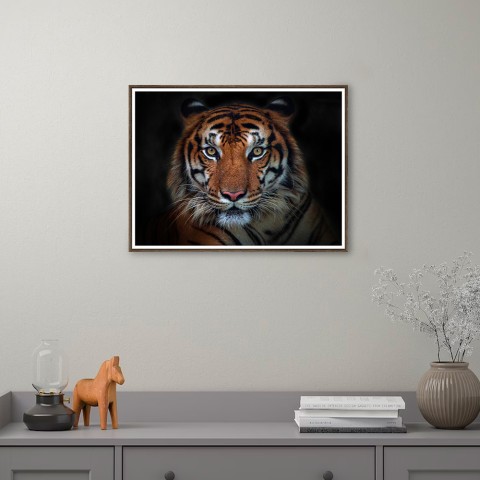 Print photo poster animal tiger frame 30x40cm Unika 0027 Promotion