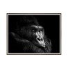 Print photo gorilla picture frame animals 30x40cm Unika 0026 On Sale