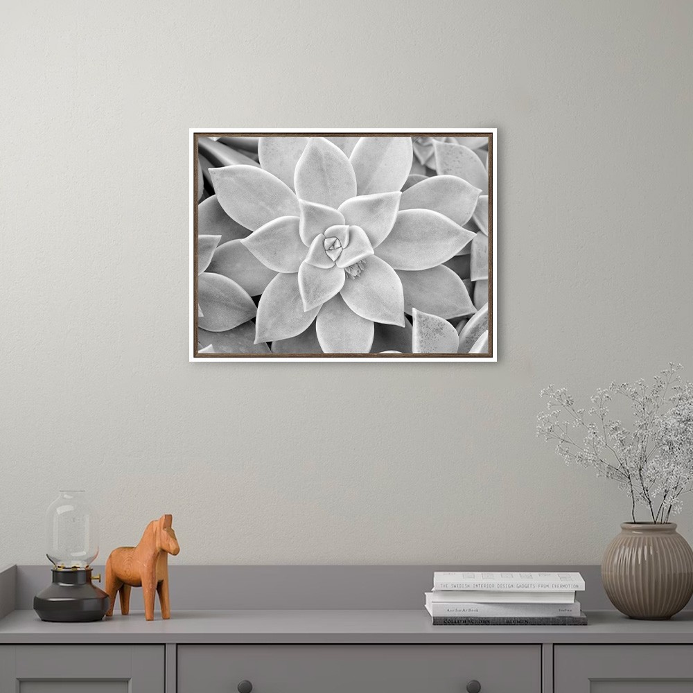 Print photograph black white plant frame 30x40cm Unika 0056