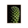 Print picture frame plant flower cactus 30x40cm Unika 0061 On Sale
