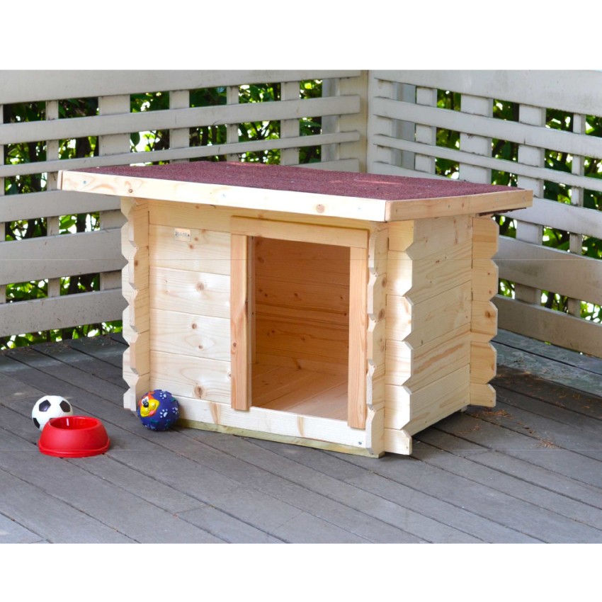 Little dog clearance kennels