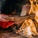 Olive firewood for stove chimney 320kg on Olivetto pallet Measures