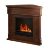 Corner bioethanol fireplace with bio-frame floor standing Ford Catalog