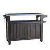 Keter K244200 2 door steel top barbecue cabinet Unity XL On Sale