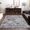 Rectangular shaggy long pile modern hypoallergenic carpet BIA003 Promotion