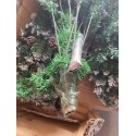 copy of Artificial Christmas tree with decorations decorated 240 cm Oulu On Sale
