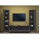 Vibe RT modern grey TV cabinet hanging wall system 2 cupboards Discounts