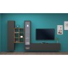 Modern TV cabinet display wall bookcase wood Rold RT Discounts