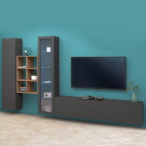 Modern TV cabinet display wall bookcase wood Rold RT Promotion
