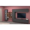 Suspended wall-mounted TV wall display cabinet modern bookcase Femir RT Catalog