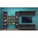 Modern wall-mounted TV cabinet bookcase 2 display cabinets Eron RT Discounts