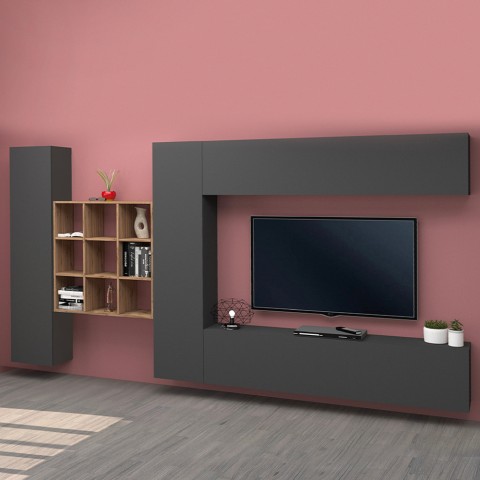 Modern design wall-mounted TV wall unit 2 cabinets bookcase Ferd RT Promotion