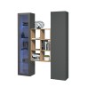 Modern storage wall with display cabinet bookcase wood Teret RT Offers