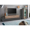 Modern Black and Wood Wall Unit Entertainment Center with TV Stand and Display Cabinet Woud AP Catalog