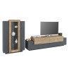 Modern Black and Wood Wall Unit Entertainment Center with TV Stand and Display Cabinet Woud AP Offers