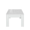 Reef Prisma Glossy White Coffee Table 65x122cm Catalog