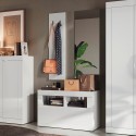 Basic Triangle mobile entrance hall mirror, coat hanger and shoe cabinet Offers