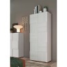 Maddy Dama modern 2-door wardrobe closet with coat hanger, for the entrance. Measures