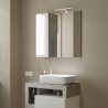 Bathroom Mirror with LED Light, 1-Door Column in White Gray Pilar BC. 