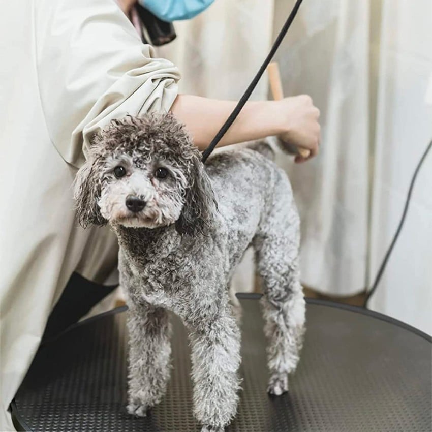 Rotating dog outlet grooming table