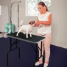 Folding Grooming Table for Dogs and Animals with Mastiff Loop Sale