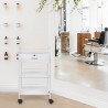 Esthetician and Hairdresser Cart with 4 Wheels, Drawer, and Shelves Gordon. On Sale