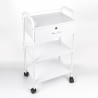 Esthetician and Hairdresser Cart with 4 Wheels, Drawer, and Shelves Gordon. Offers