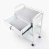 Esthetician and Hairdresser Cart with 4 Wheels, Drawer, and Shelves Gordon. Catalog