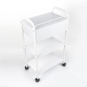 Esthetician and Hairdresser Cart with 4 Wheels, Drawer, and Shelves Gordon. Discounts