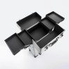 Sirius 4-Wheel Makeup Artist Trolley Case Cost