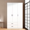 Bedroom wardrobe 3 doors 2 drawers white Endus Discounts