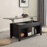 Modern lift-top coffee table with storage compartment Toppee Discounts