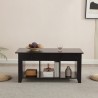 Modern lift-top coffee table with storage compartment Toppee Buy